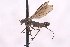  ( - CNC5245302)  @11 [ ] No Rights Reserved (nrr) (2025) Unspecified CNC
