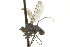  ( - CNC DIPTERA 163027)  @13 [ ] CreativeCommons - Attribution (2012) CNC/CBG Photography Group Centre for Biodiversity Genomics