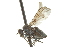  ( - CNC DIPTERA 163028)  @12 [ ] CreativeCommons - Attribution (2012) CNC/CBG Photography Group Centre for Biodiversity Genomics