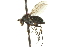  ( - CNC DIPTERA 163047)  @11 [ ] CreativeCommons - Attribution (2012) CNC/CBG Photography Group Centre for Biodiversity Genomics