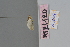  ( - MT21120)  @12 [ ] by-nc-sa (2022) Makrina Tsinoglou University of Vienna, Dept of Botany and Biodiversity