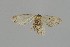  ( - MT21216)  @13 [ ] by-nc-sa (2022) Makrina Tsinoglou University of Vienna, Dept of Botany and Biodiversity
