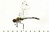  ( - 08CJ-0012)  @11 [ ] CreativeCommons - Attribution (2008) Unspecified Centre for Biodiversity Genomics