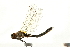  ( - 08CJ-0014)  @11 [ ] CreativeCommons - Attribution (2008) Unspecified Centre for Biodiversity Genomics