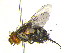  ( - BIOUG01819-E12)  @14 [ ] CreativeCommons - Attribution (2013) CBG Photography Group Centre for Biodiversity Genomics