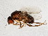  ( - BIOUG01874-G05)  @13 [ ] CreativeCommons - Attribution (2012) CBG Photography Group Centre for Biodiversity Genomics