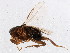  ( - BIOUG01874-H02)  @12 [ ] CreativeCommons - Attribution (2012) CBG Photography Group Centre for Biodiversity Genomics