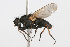  ( - WAC-ENT-0197)  @14 [ ] CreativeCommons - Attribution (2009) Unspecified Centre for Biodiversity Genomics
