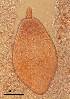 ( - DPDP-0008)  @11 [ ] No Rights Reserved (2014) Unspecified Unspecified