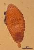  ( - DPDP-0009)  @11 [ ] No Rights Reserved (2014) Unspecified Unspecified