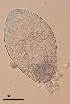  ( - DPDP-0010)  @11 [ ] No Rights Reserved (2014) Unspecified Unspecified