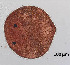  ( - DPDP-0101)  @11 [ ] No Rights Reserved (2014) Unspecified Unspecified