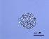  (Proctotrema FC_sp 2 - DPDP-0136)  @11 [ ] No Rights Reserved (2014) Unspecified Unspecified