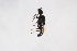  ( - Str20210005)  @11 [ ] CreativeCommons  Attribution Non-Commercial Share-Alike (2021) zhang tingting Shandong Agricultural University