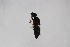  ( - Str20210010)  @11 [ ] CreativeCommons  Attribution Non-Commercial Share-Alike (2021) zhang tingting Shandong Agricultural University