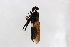  ( - Str20210107)  @11 [ ] CreativeCommons  Attribution Non-Commercial Share-Alike (2021) zhang tingting Shandong Agricultural University