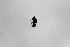  ( - Str20210121)  @11 [ ] CreativeCommons  Attribution Non-Commercial Share-Alike (2021) zhang tingting Shandong Agricultural University