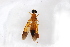  ( - Str20210122)  @11 [ ] CreativeCommons  Attribution Non-Commercial Share-Alike (2021) zhang tingting Shandong Agricultural University