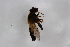  ( - Syr20210654)  @11 [ ] CreativeCommons  Attribution Non-Commercial Share-Alike (2021) zhang tingting Shandong Agricultural University