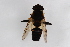  ( - Syr20211219)  @11 [ ] CreativeCommons  Attribution Non-Commercial Share-Alike (2021) zhang tingting Shandong Agricultural University