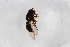  ( - Syr20211269)  @11 [ ] CreativeCommons  Attribution Non-Commercial Share-Alike (2021) zhang tingting Shandong Agricultural University