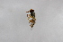  ( - Syr20212285)  @11 [ ] CreativeCommons  Attribution Non-Commercial Share-Alike (2021) zhang tingting Shandong Agricultural University
