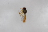  ( - Syr20212309)  @11 [ ] CreativeCommons  Attribution Non-Commercial Share-Alike (2021) zhang tingting Shandong Agricultural University