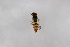  ( - Syr20212316)  @11 [ ] CreativeCommons  Attribution Non-Commercial Share-Alike (2021) zhang tingting Shandong Agricultural University