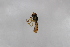  ( - Syr20212316)  @11 [ ] CreativeCommons  Attribution Non-Commercial Share-Alike (2021) zhang tingting Shandong Agricultural University