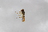  ( - Syr20212321)  @11 [ ] CreativeCommons  Attribution Non-Commercial Share-Alike (2021) zhang tingting Shandong Agricultural University