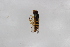  ( - Syr20212409)  @11 [ ] CreativeCommons  Attribution Non-Commercial Share-Alike (2021) zhang tingting Shandong Agricultural University