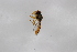  ( - Syr20212410)  @11 [ ] CreativeCommons  Attribution Non-Commercial Share-Alike (2021) zhang tingting Shandong Agricultural University