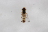  ( - Syr20212412)  @11 [ ] CreativeCommons  Attribution Non-Commercial Share-Alike (2021) zhang tingting Shandong Agricultural University