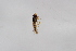  ( - Syr20212827)  @11 [ ] CreativeCommons  Attribution Non-Commercial Share-Alike (2021) zhang tingting Shandong Agricultural University
