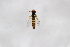  ( - Syr20212892)  @11 [ ] CreativeCommons  Attribution Non-Commercial Share-Alike (2021) zhang tingting Shandong Agricultural University