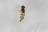  ( - Syr20212898)  @11 [ ] CreativeCommons  Attribution Non-Commercial Share-Alike (2021) zhang tingting Shandong Agricultural University