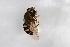  ( - Syr20213018)  @11 [ ] CreativeCommons  Attribution Non-Commercial Share-Alike (2021) zhang tingting Shandong Agricultural University