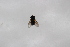  ( - Syr20213034)  @11 [ ] CreativeCommons  Attribution Non-Commercial Share-Alike (2021) zhang tingting Shandong Agricultural University