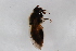  ( - Syr20213866)  @11 [ ] CreativeCommons  Attribution Non-Commercial Share-Alike (2021) zhang tingting Shandong Agricultural University
