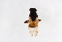  ( - Syr20214117)  @11 [ ] CreativeCommons  Attribution Non-Commercial Share-Alike (2021) zhang tingting Shandong Agricultural University