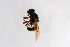  ( - Syr20214117)  @11 [ ] CreativeCommons  Attribution Non-Commercial Share-Alike (2021) zhang tingting Shandong Agricultural University