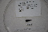  ( - DPND 3936)  @11 [ ] CreativeCommons  Attribution (by) (2023) Tracey Sutton Nova Southeastern University
