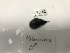  ( - DPND 5110)  @11 [ ] Copyright (2017) Tracey Sutton Nova Southeastern University