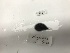  ( - DPND 5226)  @11 [ ] Copyright (2017) Tracey Sutton Nova Southeastern University