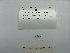  ( - DPND 2070)  @11 [ ] Copyright (2017) Tracey Sutton Nova Southeastern University
