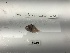  ( - DPND 4939)  @11 [ ] CreativeCommons  Attribution (by) (2017) Unspecified Texas A&M University at Galveston