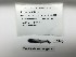  ( - DPND 3249)  @11 [ ] Copyright (2016) Ron Eytan Texas A&M University at Galveston