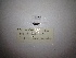  ( - RIE 0132)  @11 [ ] Copyright (2018) Tracey Sutton Nova Southeastern University