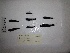  ( - Rie 0136)  @11 [ ] Copyright (2018) Tracey Sutton Nova Southeastern University