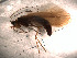 ( - DRPs9c)  @13 [ ] Copyright (2010) Unspecified Rutgers University